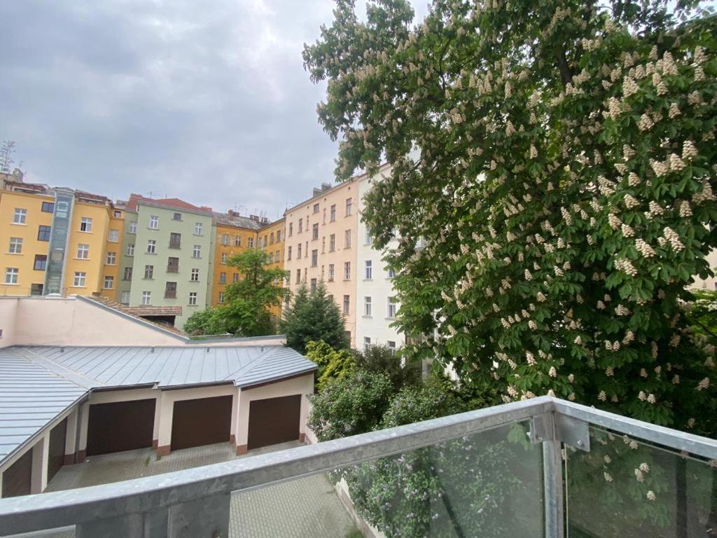 Designed Apartment Next To Vaclav Square With Terrace And Private Garage 布拉格 外观 照片